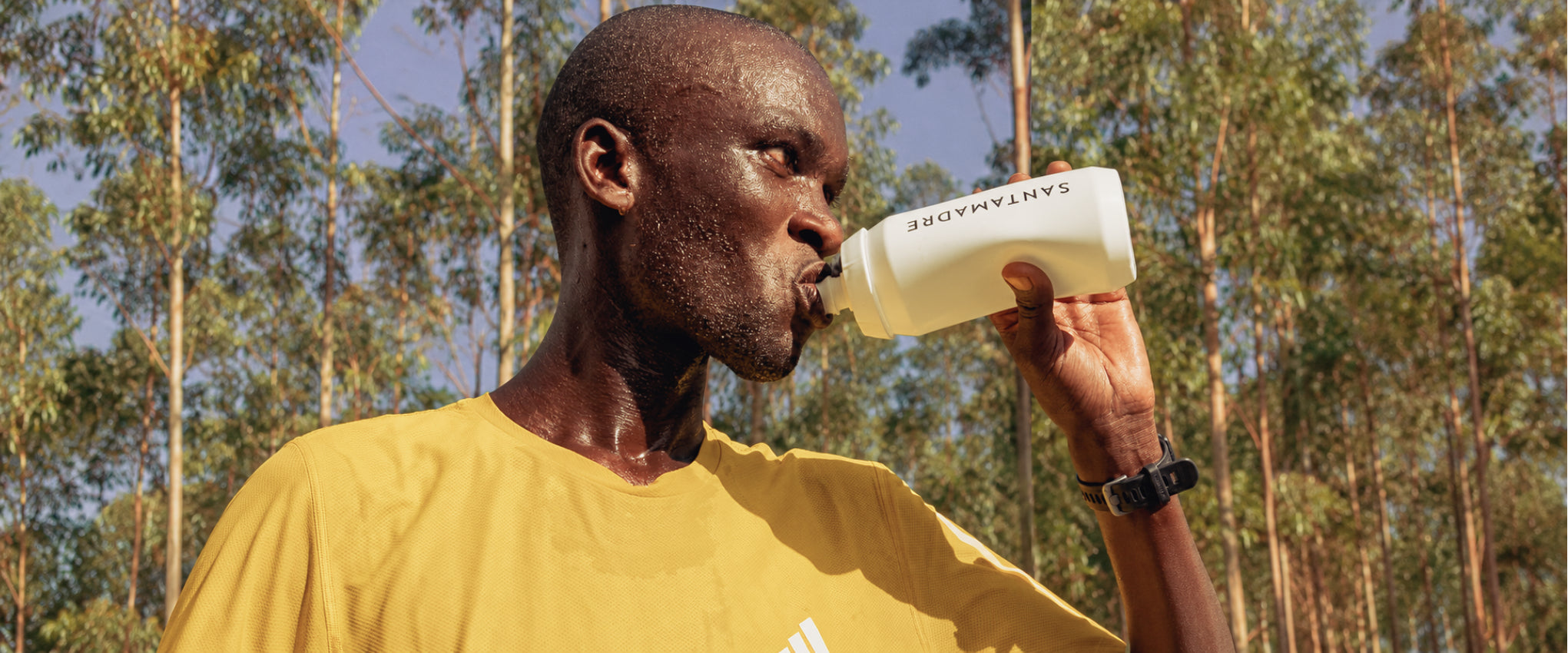 Bebidas Recuperadoras y Proteínas